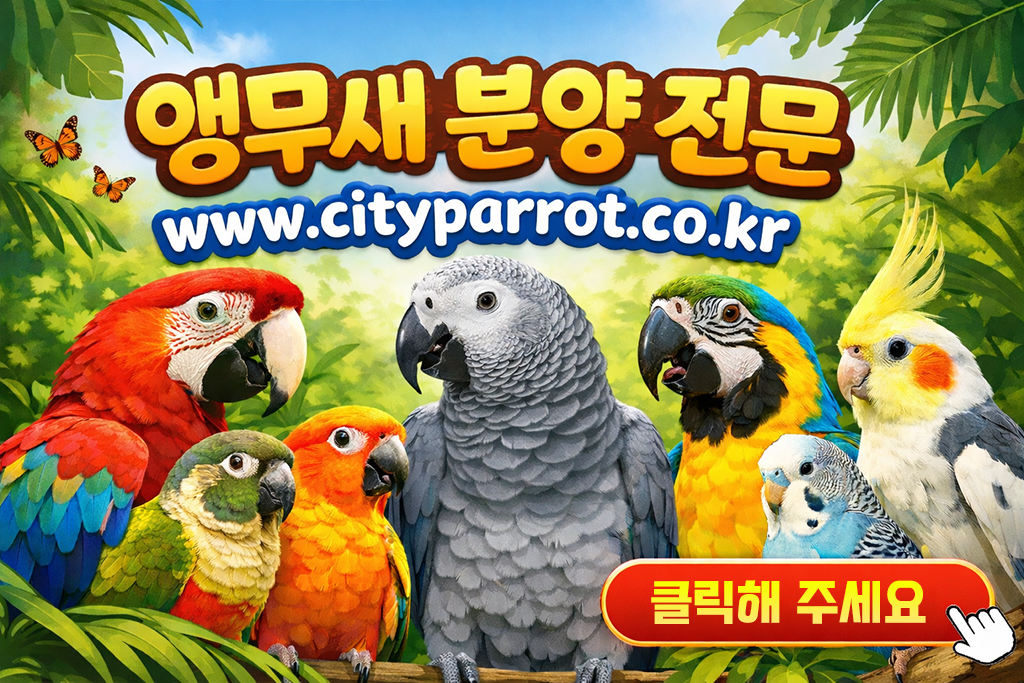 cityparrotlink